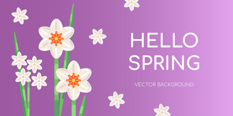 Bright lavender vector background template with white narcissus. Perfect  for spring sale and 8 march women day social media posts and advertisуment.