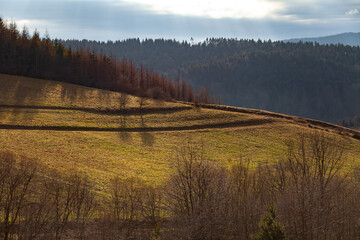 Zielona łąka na zboczu łagodnej góry w porannym słońcu, Bieszczady, Polska