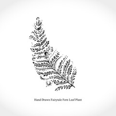 Hand drawn fairytale fern leaf plant. Vector illustration of a beautiful decor of nature element.