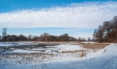 Zima, zamarznięty staw  © WildFrame