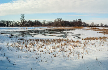 Zima, zamarznięty staw  © WildFrame