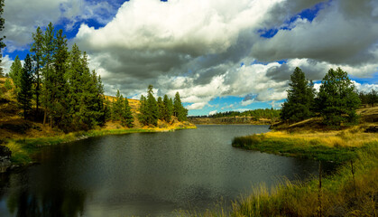 lake in the forest