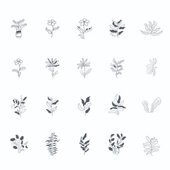 minimalistic flower graphic sketch drawing, trendy tiny tattoo design, floral botanic elements vector illustration - obrazy, fototapety, plakaty