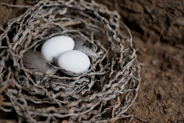 Easter eggs lie in the nest on the ground.