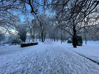 Winter view down, Lister Park, with old trees, and a blue sky in, Bradford, Yorkshire, UK