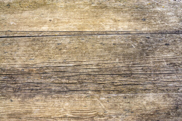Naklejka premium Old wood texture for the design background.