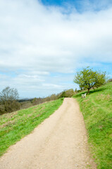 Fototapeta na wymiar Malvern hills path in the Springtime.