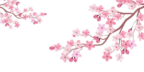 桜　春　花　背景 © J BOY