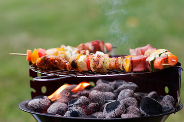 Meat skewers grilled on fire of wood briquettes
