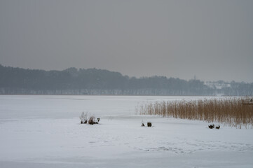 Winter on Lake Kortowo in Olsztyn