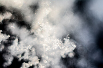snowflakes macro
