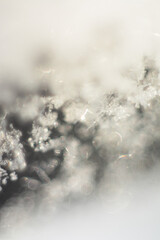 snowflakes macro