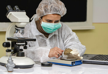 Geologist Researcher Working