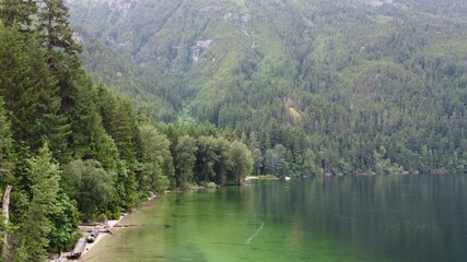 Coastline of Chilliwack Lake, Evergreen Forest lining the lake in the Pacific Northwest.