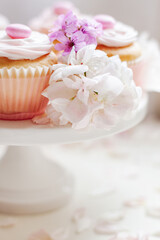 Vanilla cupcakes with white icing and candy topping served on cake stand with flowers and pink rose petals sprinkled for decoration