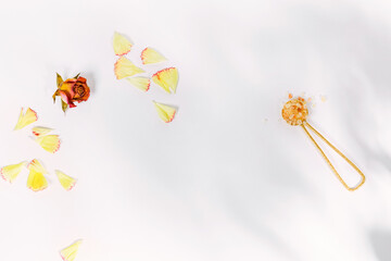 Red rose bud, flower petals, and scoop of bath salts in brass spoon. Dappled sunlight on white background