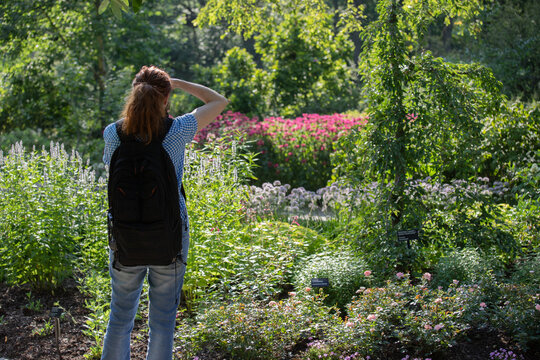 Young caucasian woman in the garden with a camera taking pictures of perennials, bee balm and agastache