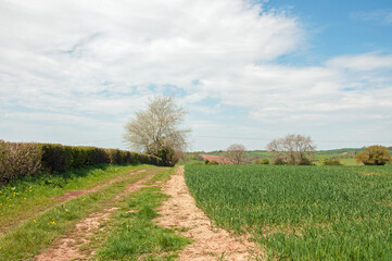 Farm road in the countryside