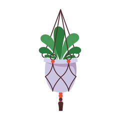 home plant in purple ceramic pot decor hanging