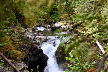 waterfall in the forest