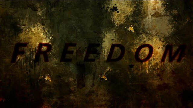 Freedom text on grunge background