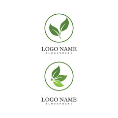 Mint leaves flat vector color icon template