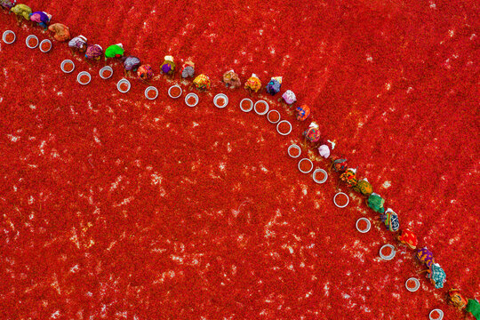 Aerial view of Woman picking red chilies using large bowls to sort the chilli peppers at this farm before they were delivered to spice companies to be made into powder in Bogura, Bangladesh.