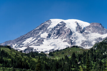 Mt. Rainier 