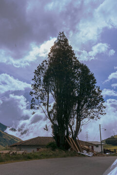 nevado