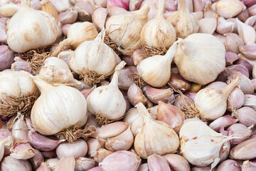 Raw garlic background. 