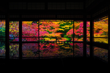 【京都】瑠璃光院の紅葉