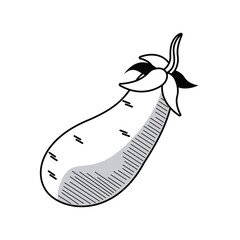 fresh beet vegetable drawn icon