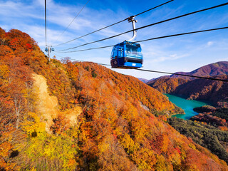 【新潟】苗場 ドラゴンドラから見る紅葉の絶景