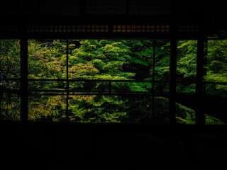 【京都】初夏 瑠璃光院の青もみじ