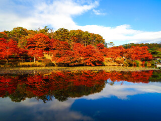 【福島】秋の蛇の鼻遊楽園の紅葉