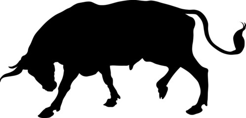 vector silhouette of a bull