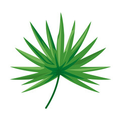 tropical leave plant green nature icon