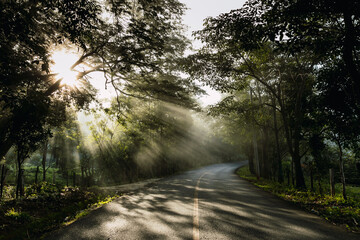 Carretera con rayos de luz del amancecer