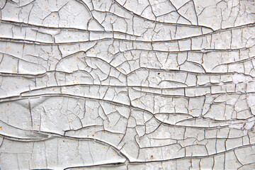Texture old white paint