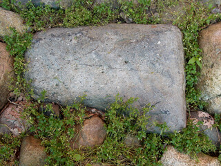 Smooth, rectangular, fieldstone rock embedded in ground surrounded by moss and small greenery.