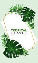 tropical leaves lettering poster with leafs palm in golden frame