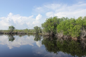 Everglades