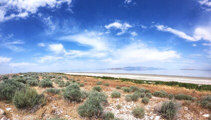 landscape with blue sky
