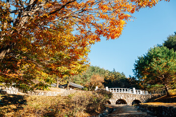 Obraz premium Andong Folk Village at autumn in Andong, Korea