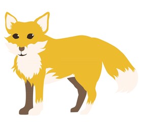 キツネ01カラー