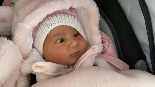 Cute Newborn Baby Girl Wrapped In Pink Blankets In Her Carrier - close up