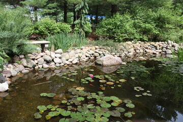 Fototapeta na wymiar pond in the garden