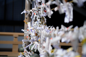 神社に結ばれたおみくじの風景