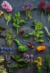 different kinds of herbs, top view
