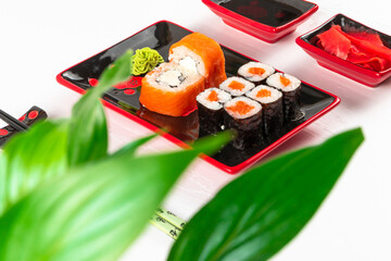 fresh appetizing rolls with salmon in nori seaweed in black-red plates on a white plate. near young green leaves of a plant